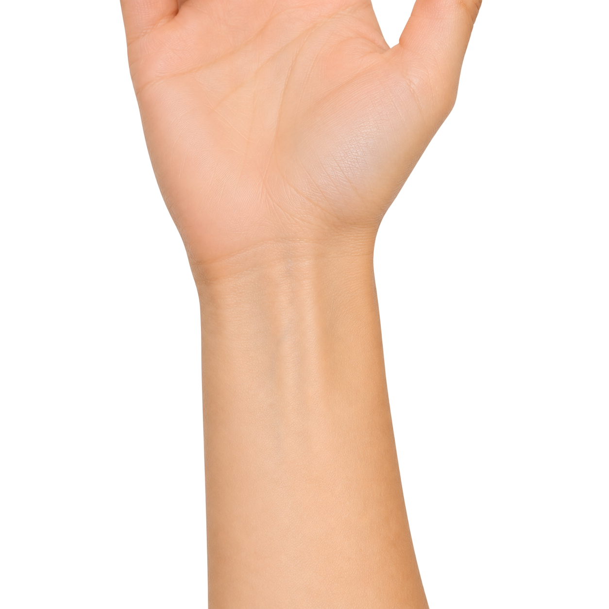 wrist